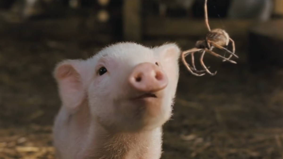 Prasátko Wilbur se setkává s pavoukem Šarlotou ve filmu Šarlotina pavučina