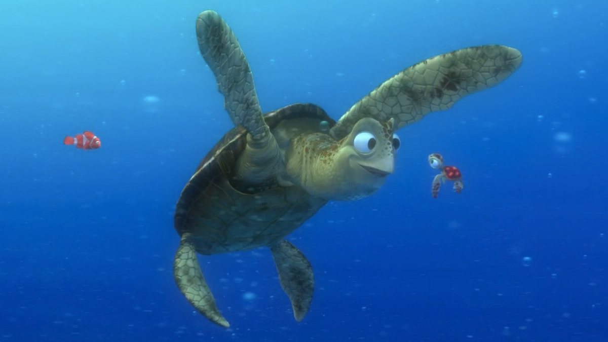 Marlin e uma tartaruga marinha nadam no oceano