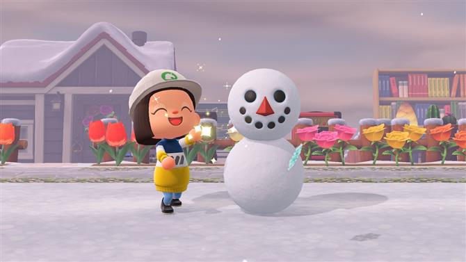 Animal Crossing: New Horizons Snowboy