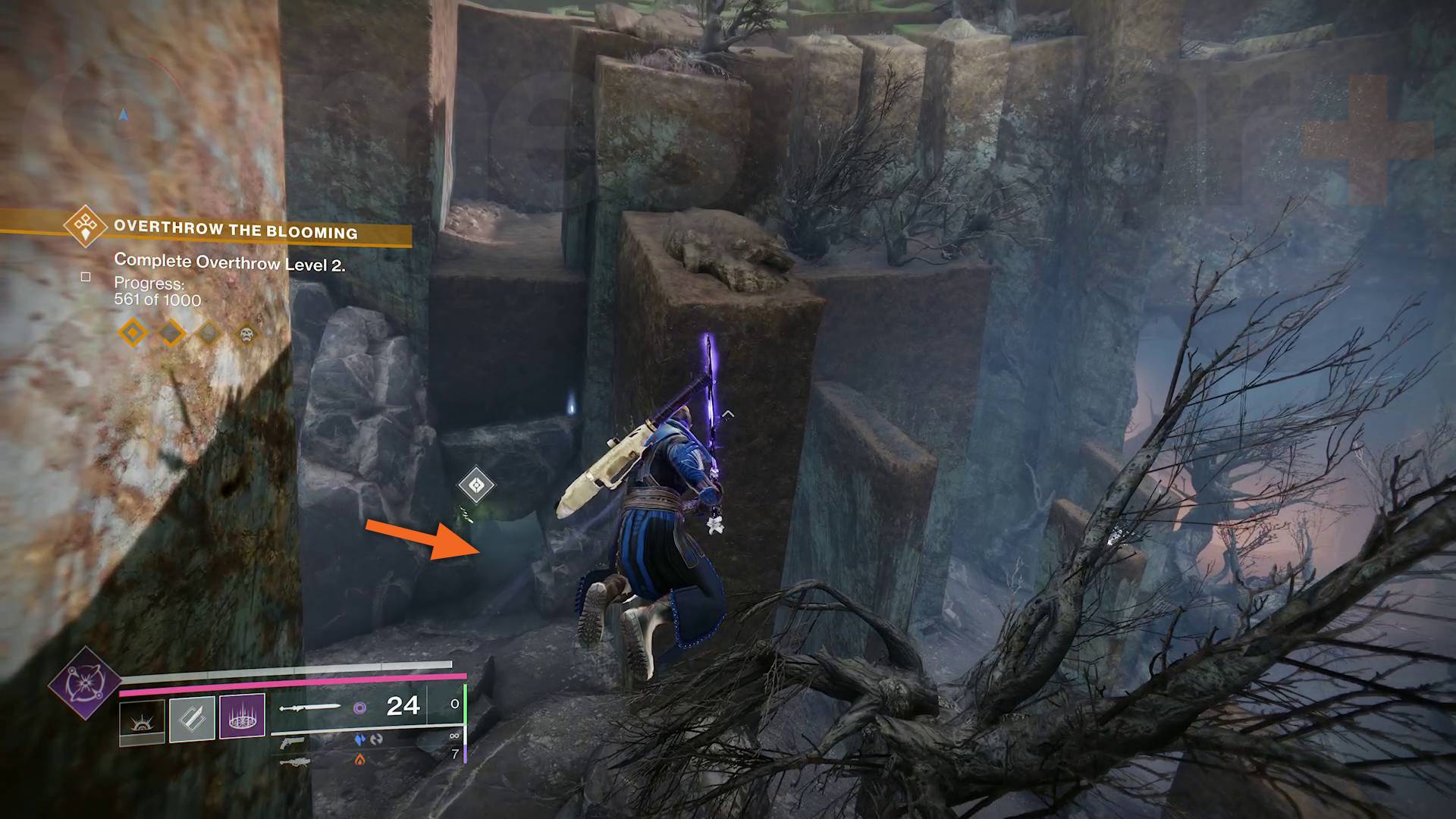 Destiny 2 Bledá srdeční oblast Truhla Kvetoucí vchod do jeskyně