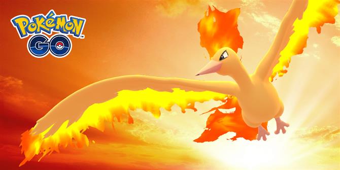 ポケモンゴーモルトレカウンター レイドで伝説の火の鳥を倒す方法 好きなゲーム 映画 テレビ