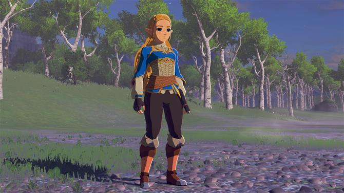 Melhor Zelda Breath Of The Wild Mods Para Download Que Sao Absolutamente Incriveis E As Vezes Apenas Francamente Estranho Jogos Filmes Televisao Que Voce Ama