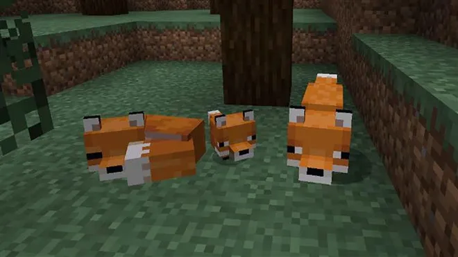 Hogyan szelídíthetek egy Foxot a Minecraftban, és hogyan szerezz új barátokat?