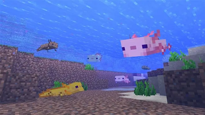 Minecraft 1.17 Axolotl – wie man den neuen Mob findet, zähmt oder züchtet