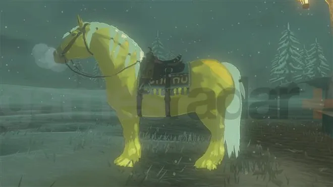 A legjobb lovak a királyság Zelda könnyeiben