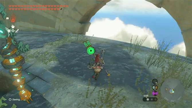 “Zelda