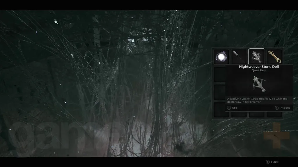 Gjenværende 2 Drømmefanger-nattveverens nett med steindukke