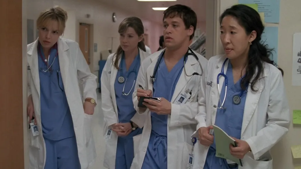 Grey&rsquo;s Anatomy