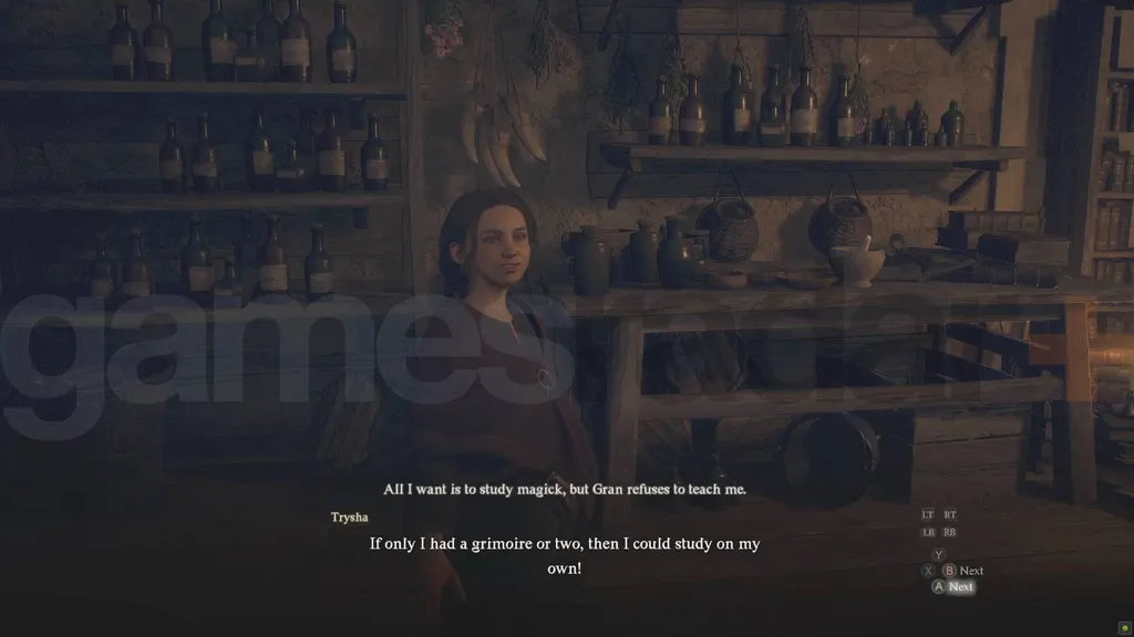 Dragons Dogma 2 Spellbound start