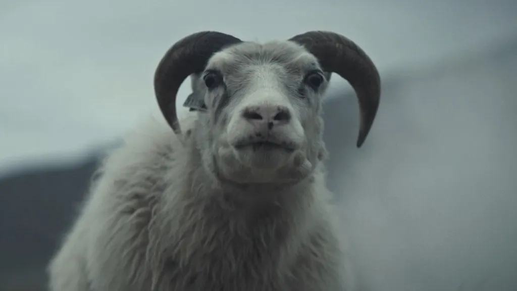 Lamb