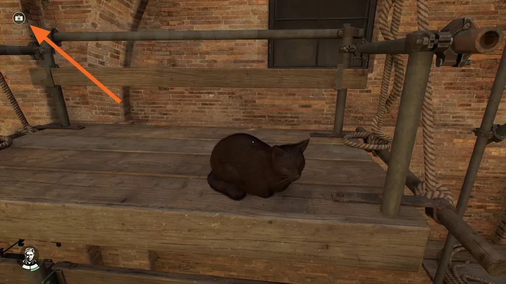 Indiana Jones und der Große Kreis Fotoapparat-Symbol beim Betrachten einer Katze