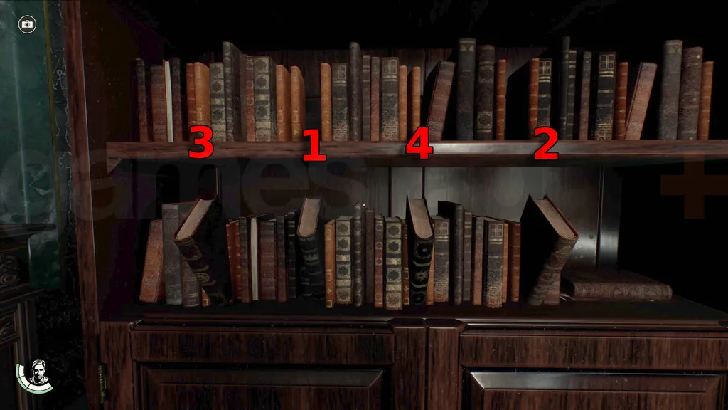 indiana jones bücherregal bücherordnung